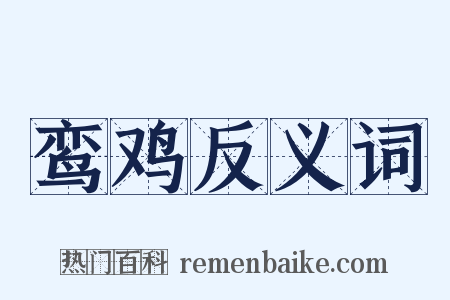 鸾鸡反义词是什么意思的图片